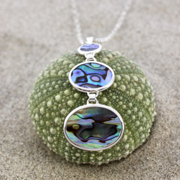 Paua (NZ Abalone) - Wild Jewels