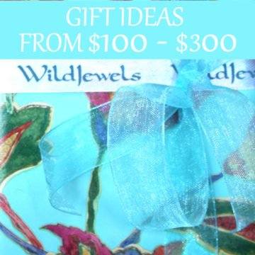 GIFT IDEAS $100 - $300